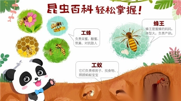奇妙昆虫世界图3