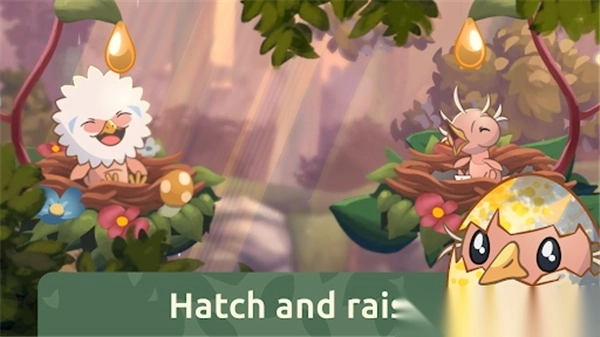 鸟类世界(Bird Kind)1