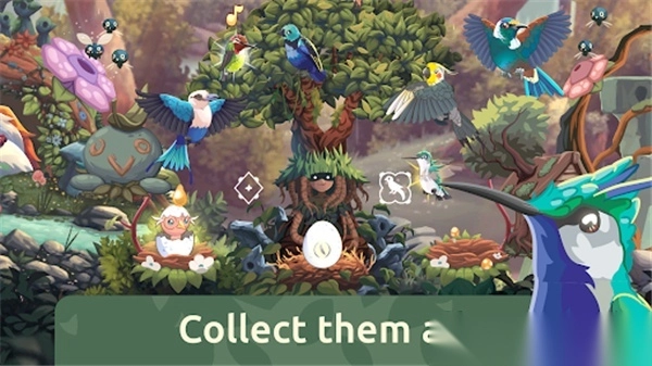 鸟类世界(Bird Kind)5