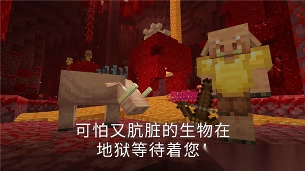 我的世界国际版图3