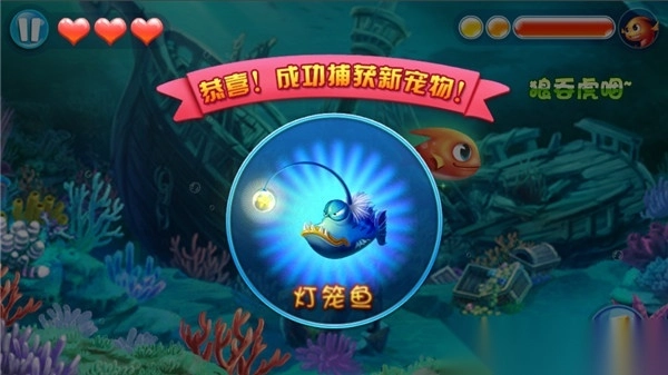 大鱼吃小鱼3夺宝大冒险手机版图5