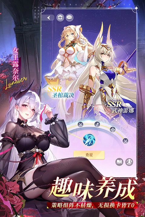 命运圣契折扣服