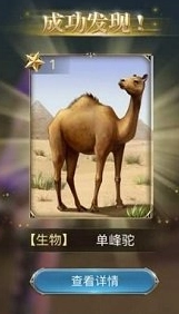 大航海之路动植物探索指南