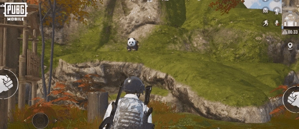 PUBGMOBILE修行之路丨全新生物载具“萌”翻战场！骑上可爱熊猫，征战四灵归一试炼！[多图]