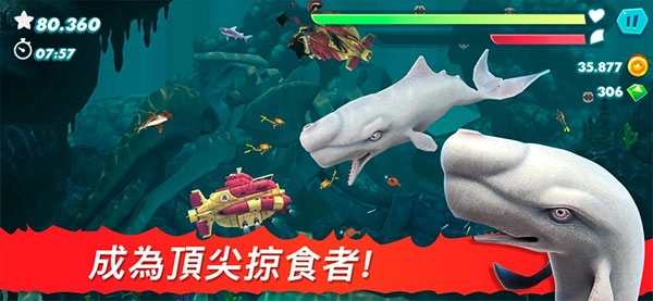 饥饿鲨进化国际服4