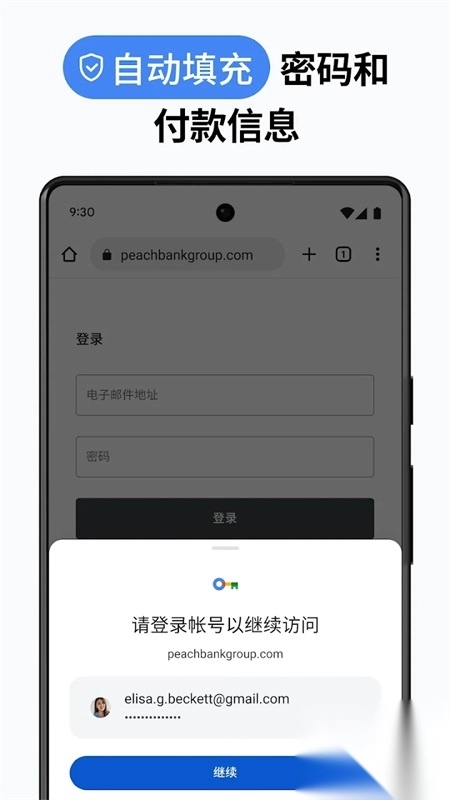 谷歌浏览器