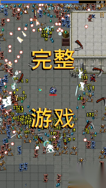 VampireSurvivors中文手机版(4)