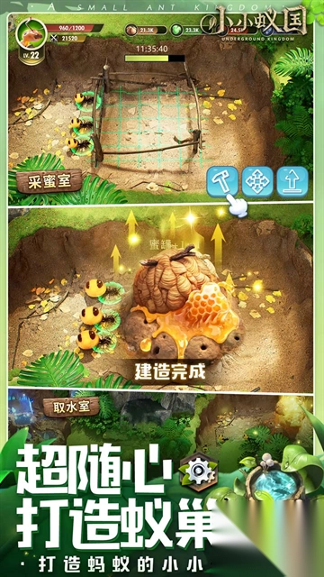 小小蚁国极速发育版(2)