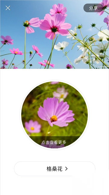 识花app图4