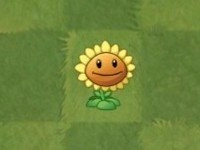 plantsvszombies国际版