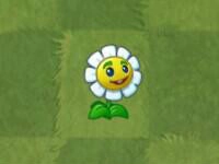 plantsvszombies国际版