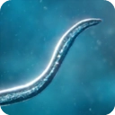 孢子模拟器中文版