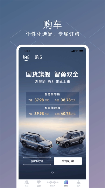 方程豹