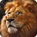 野兽领主新世界国际服