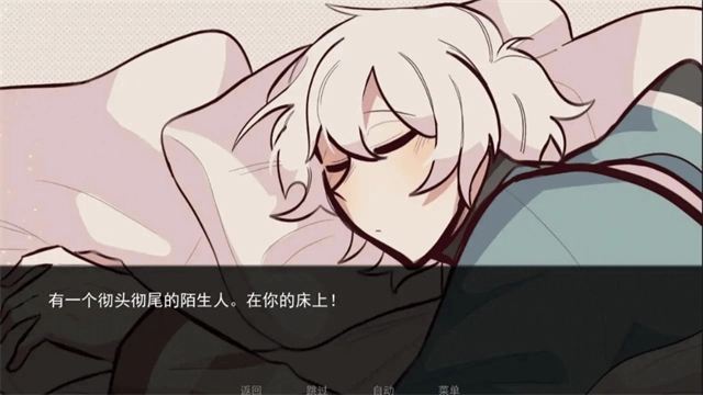 病娇抱枕(ComfortPillow)(5)