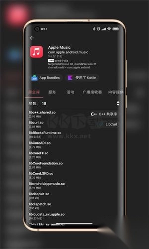 LibChecker安卓中文版最新dev.16f35325截图1