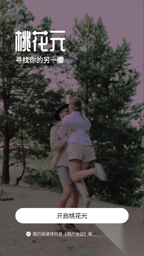 桃花元图1