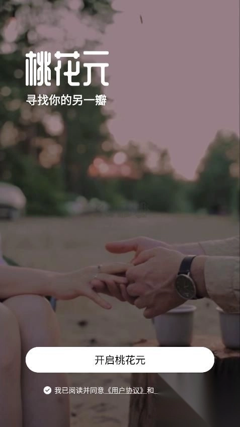 桃花元图5
