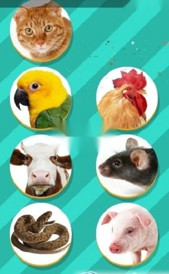 狗语翻译器中文版