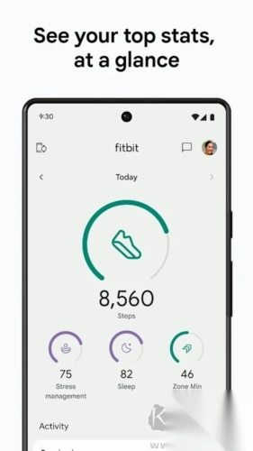 Fitbit手环新版图2
