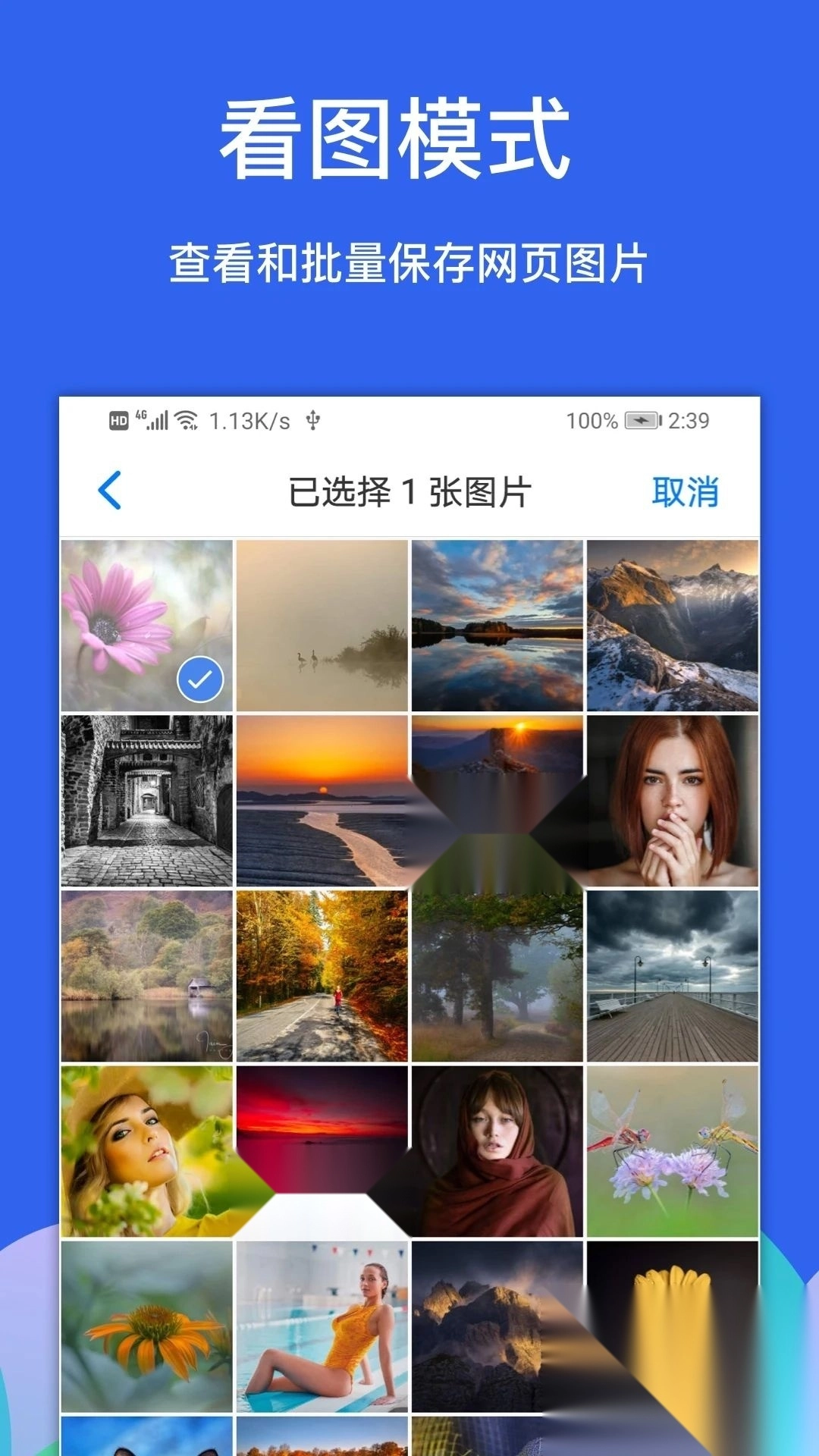 Alook浏览器安卓版