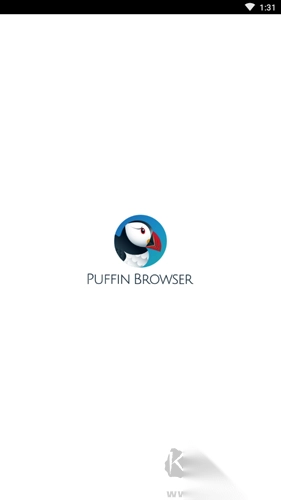 海鹦浏览器（PuffinBrowser）v10.4.1截图3