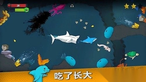 皇家鱼免费版最新版图2