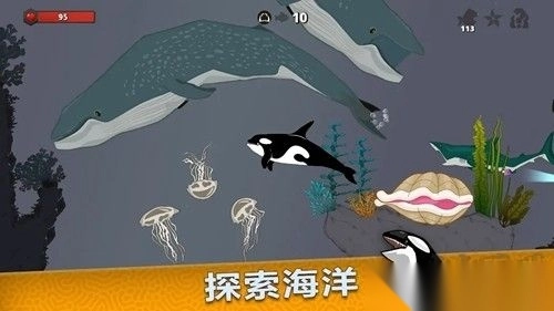 皇家鱼免费版最新版图3