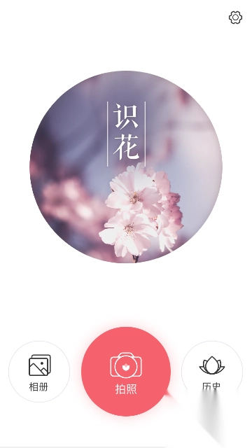 识花app官方版图1