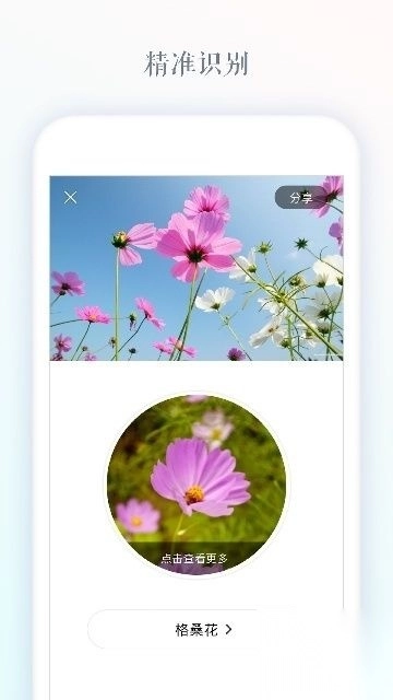 识花app官方版图3