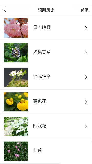 识花app官方版图2