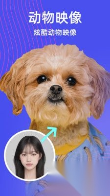 炫影相机免费版