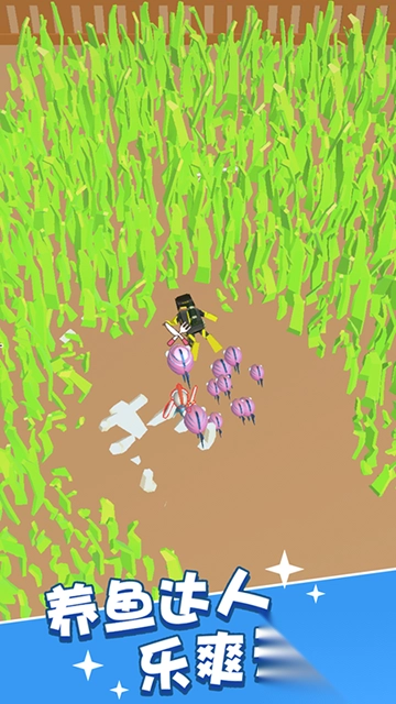 这片鱼塘我承包了4