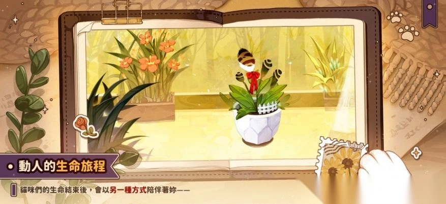 猫逝手游直装版图2