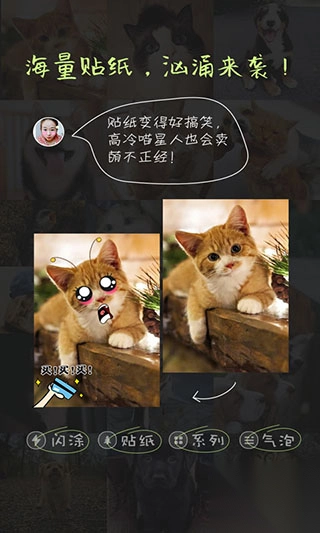 萌宠相机软件图1