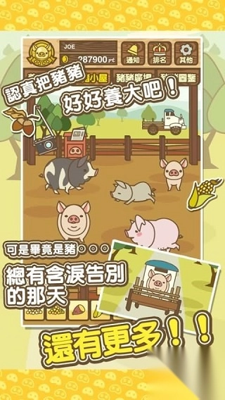 养猪场mix最新免费版图3