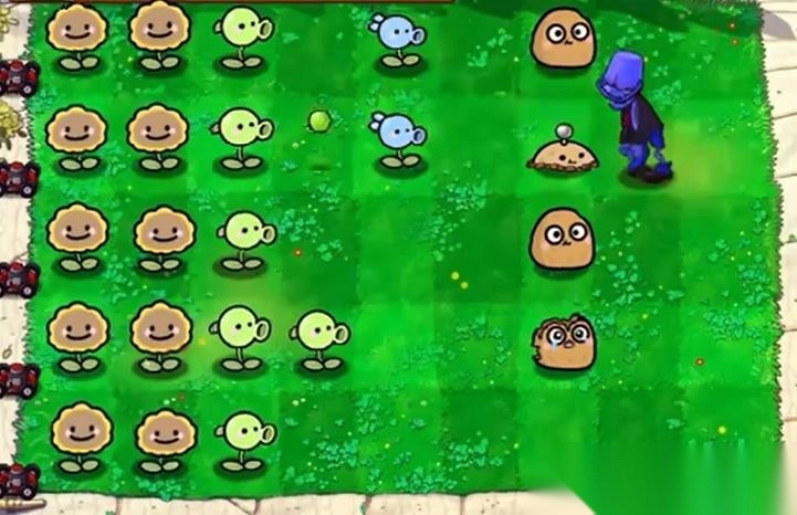 植物大战僵尸幼儿园版