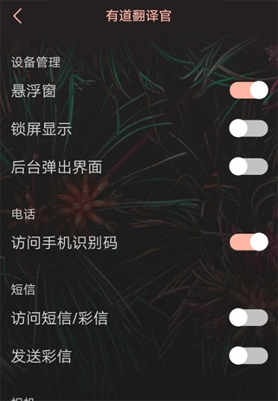 有道翻译官软件