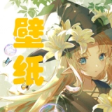 主题壁纸鸭 V1.2 