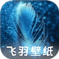 飞羽壁纸