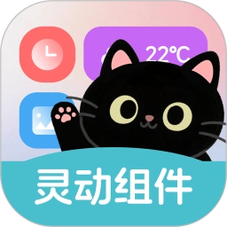 灵动皮肤小组件