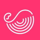 灰豚数据免费版 V3.8.8