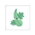 青瓜追书版