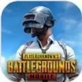 PUBG国际服游戏