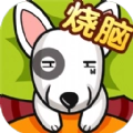 全民最囧烧脑游戏安卓版