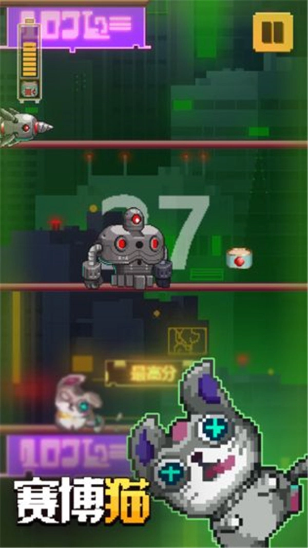 赛博猫(3)