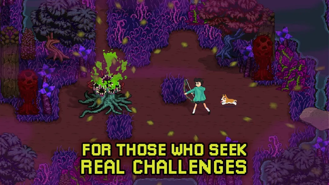 深入萨莫莫镇(3)