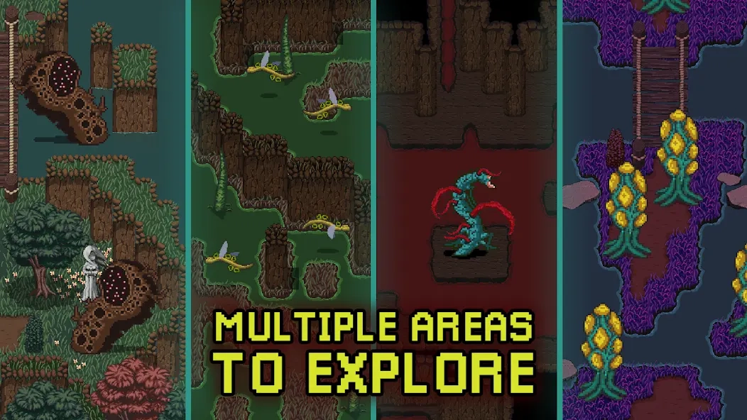 深入萨莫莫镇(2)