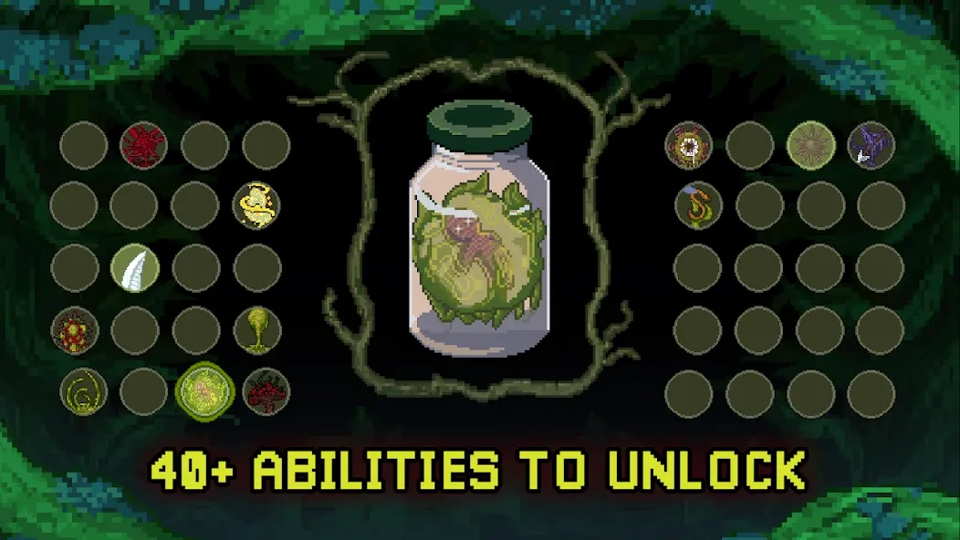 深入萨莫莫镇(4)