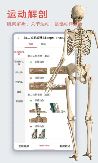 3DBody解剖软件手机最新版图6